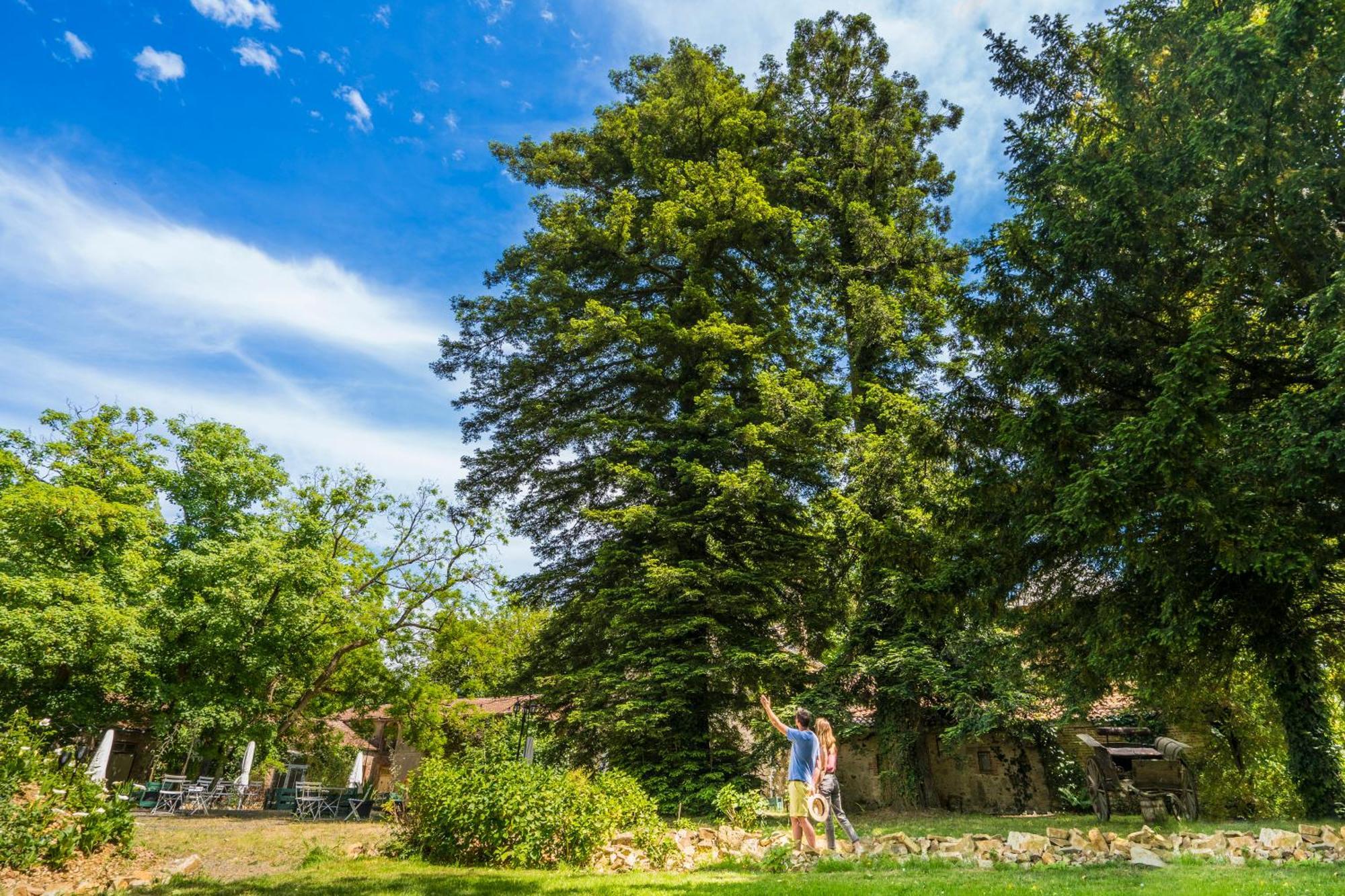 Chateau De La Tourlandry Chemille-en-Anjou エクステリア 写真