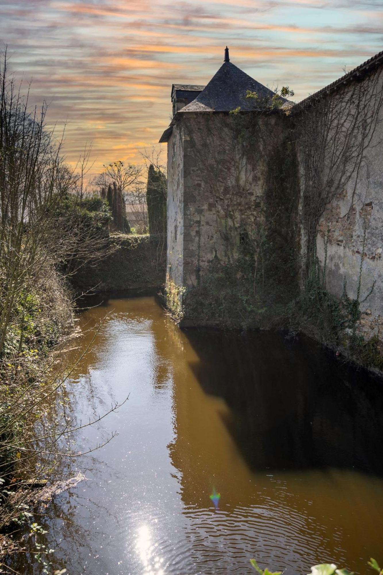 Chateau De La Tourlandry Chemille-en-Anjou エクステリア 写真